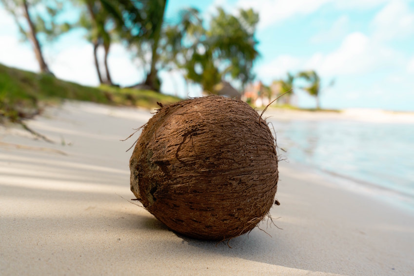 DO’s IN MAURITIUS: