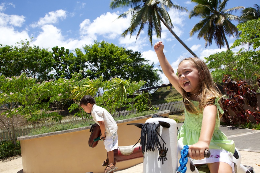 Unleash your adventurous soul!