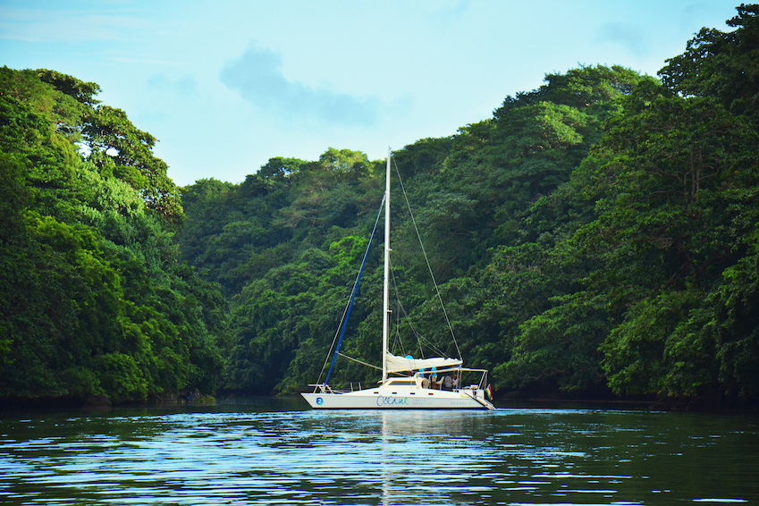 Why not play the captain on a catamaran trip?