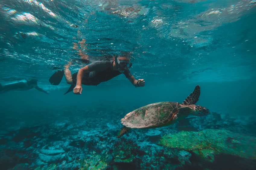 Water activities: diving, snorkeling