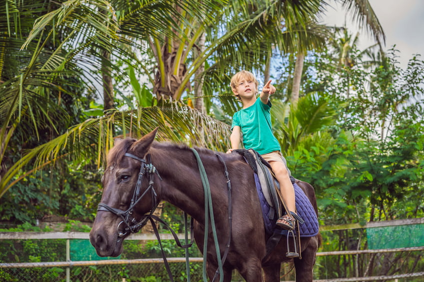 A wide range of activities to discover