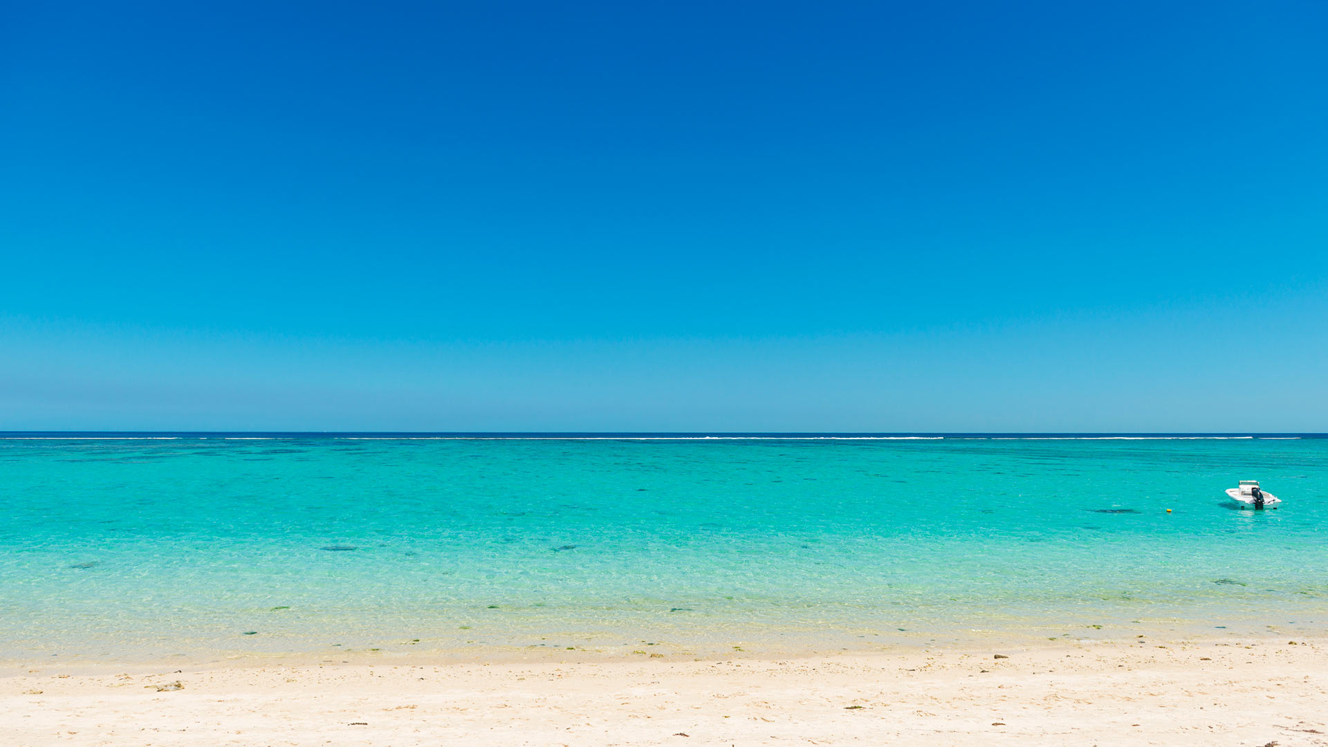 Villa Appartement West, Location à Île Maurice Ouest